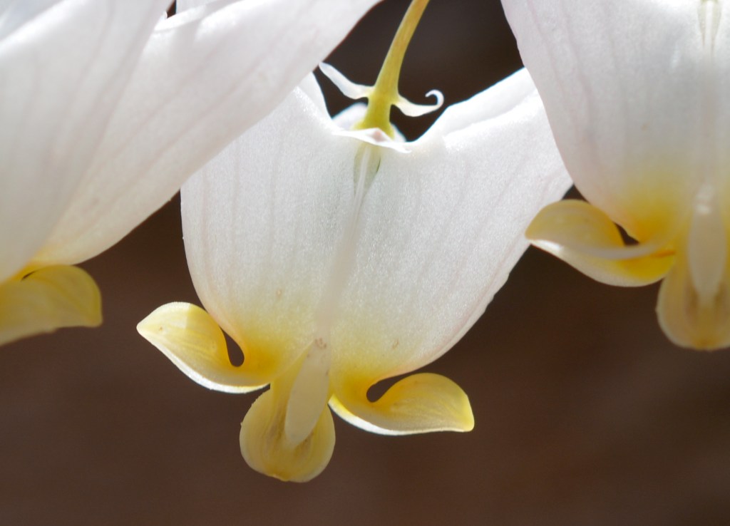 Photo by Tim Stanley