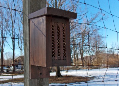Mason Bee House - "The Lodge"