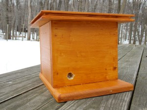 Bumblebee House