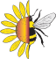 Native Beeology